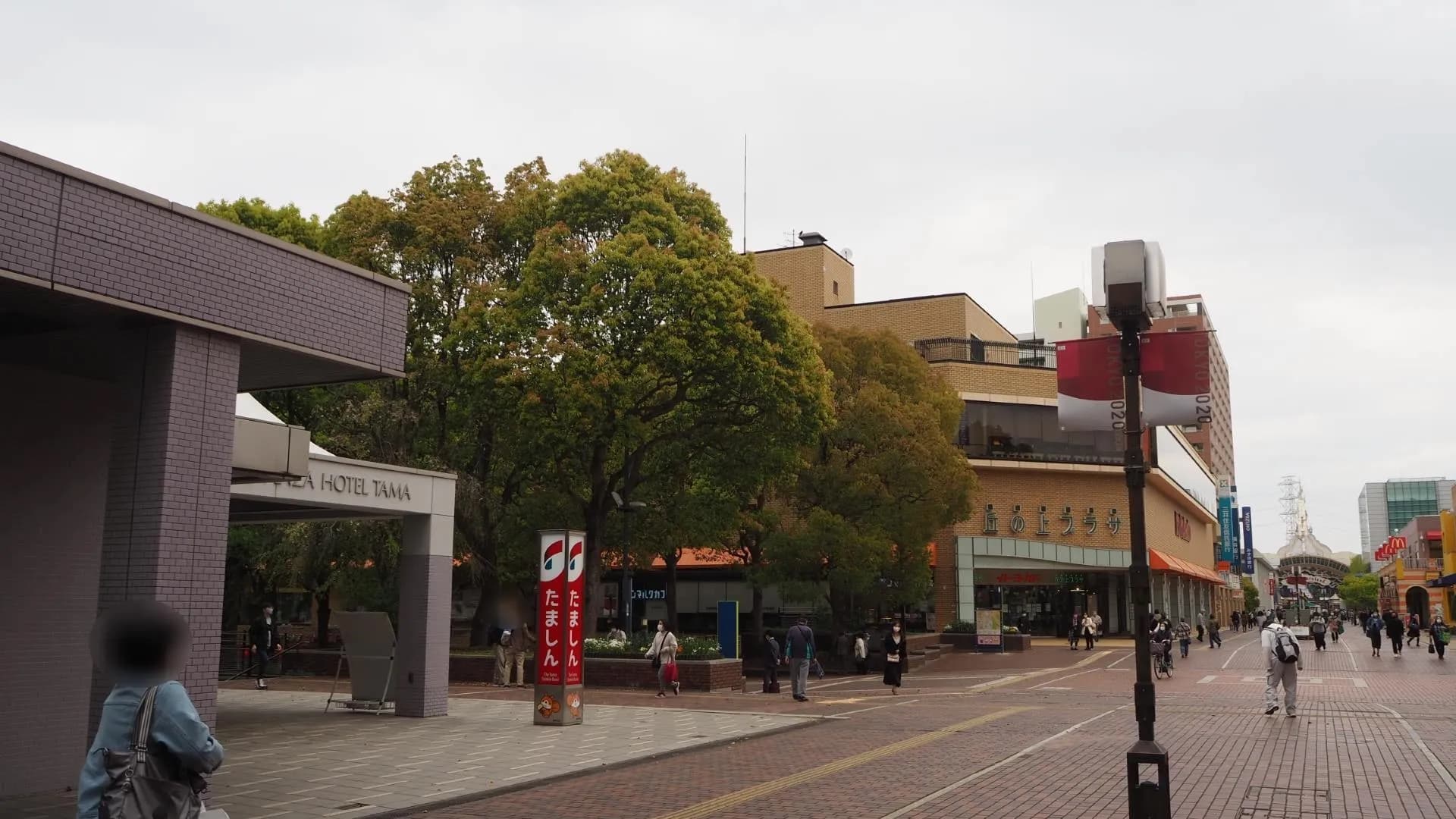 多摩市内の葬儀社の違いについて教えてください