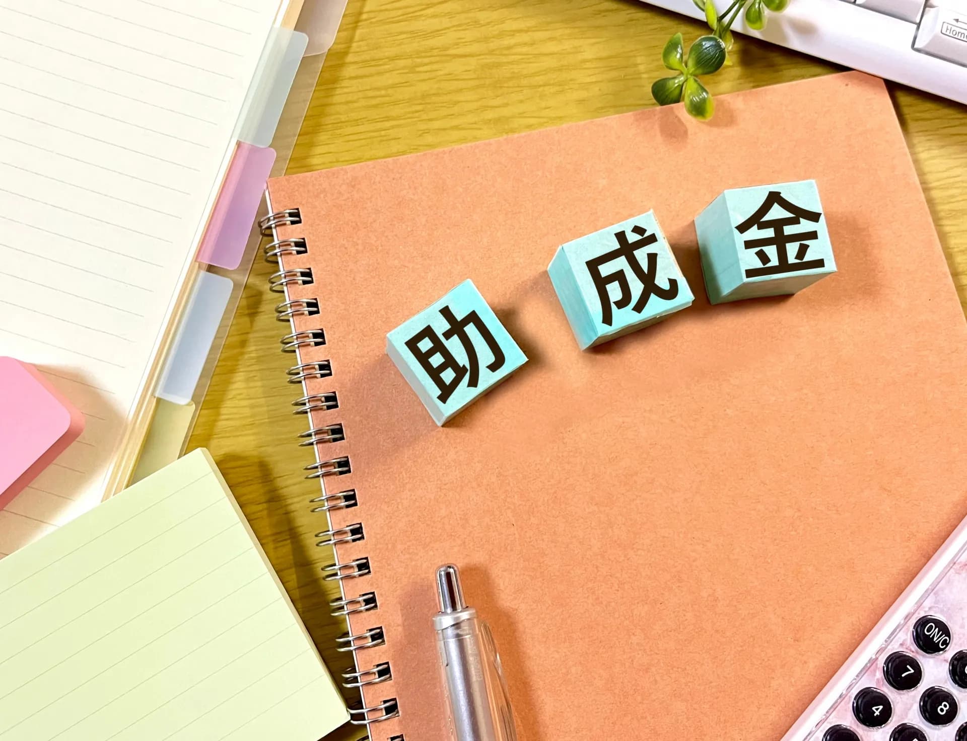 瑞穂町の補助金は？